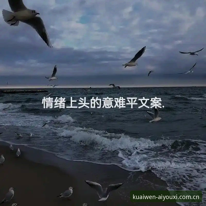 99%的人不知道：输入网址那一刻，你就已经输了